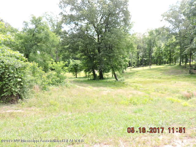 5800 Center Hill Road Olive Branch, MS 38654 - Photo 1 of 3 DSCN1856