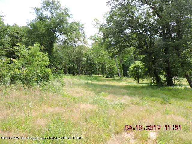 5800 Center Hill Road Olive Branch, MS 38654 - Photo 2 of 3 DSCN1857