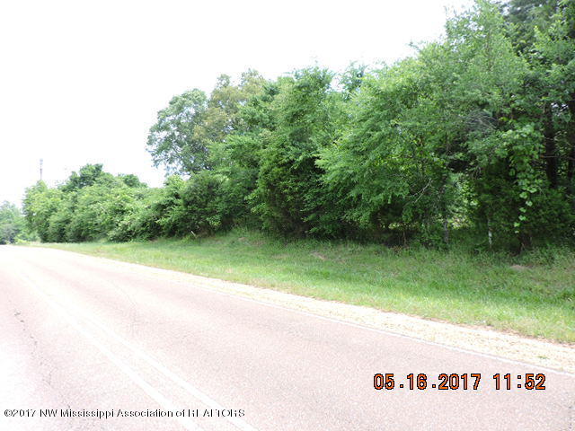 5800 Center Hill Road Olive Branch, MS 38654 - Photo 3 of 3 DSCN1858