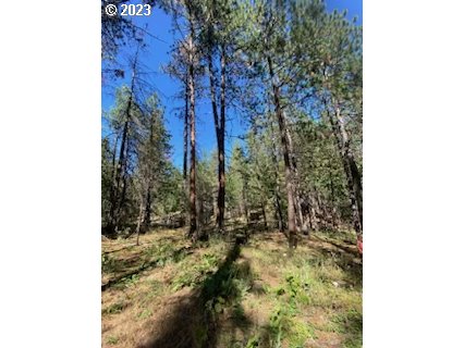 Austin Road, Unit 3 Goldendale, WA 98620 - Photo 4 of 10 Gallery Image 4