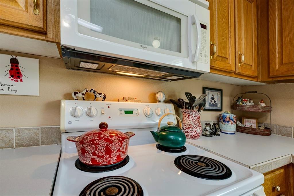 4880 Whitehead Road Midlothian, TX 76065 - Photo 13 of 36