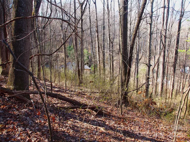 $129,000 | 0 Bob Wood Drive, Canton, NC 28716