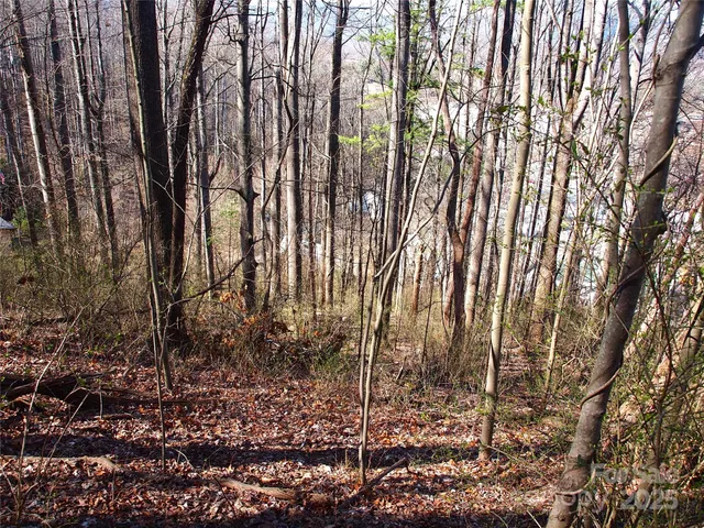 $129,000 | 0 Bob Wood Drive, Canton, NC 28716