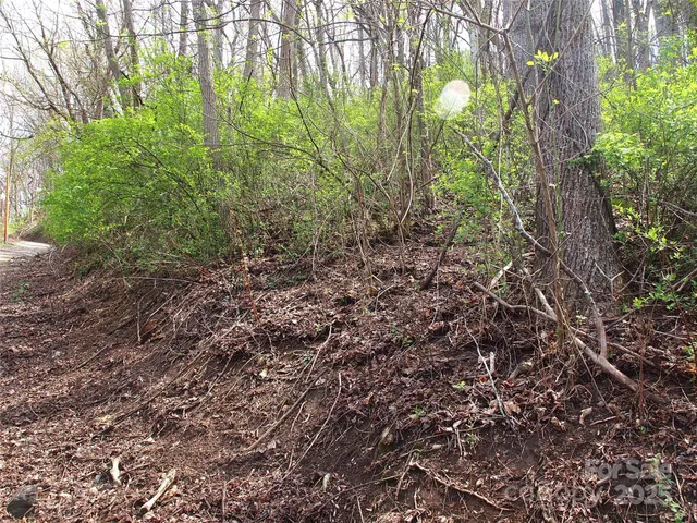 $129,000 | 0 Bob Wood Drive, Canton, NC 28716