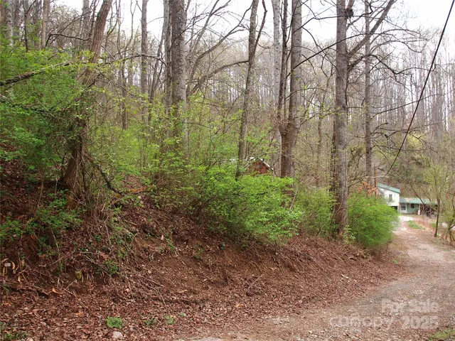 $129,000 | 0 Bob Wood Drive, Canton, NC 28716