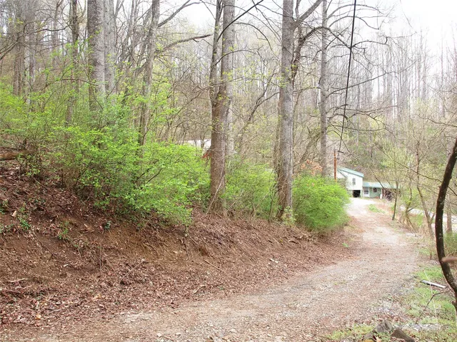 $129,000 | 0 Bob Wood Drive, Canton, NC 28716