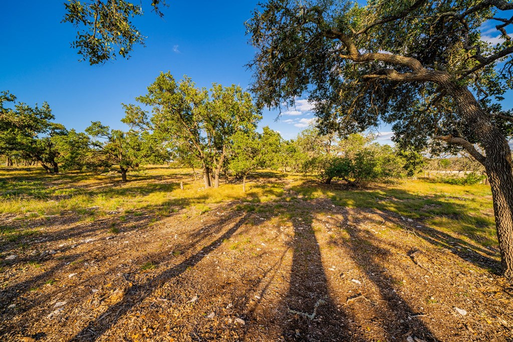 Lot 42 Reservation Road, Unit 42 Harper, TX 78631 - Photo 4 of 6 Gallery Image 4