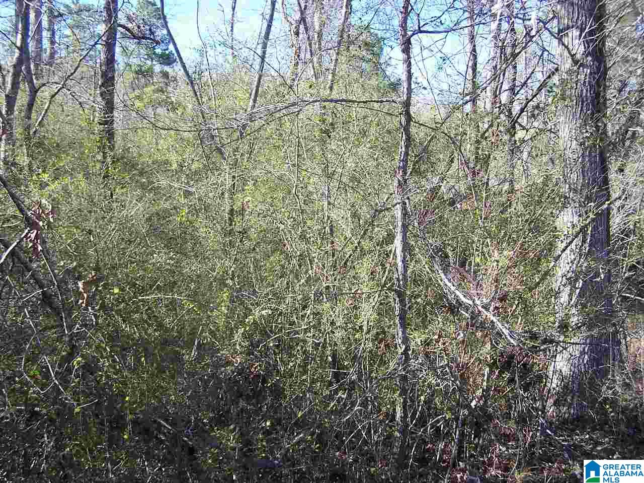 4136 Powder Mill Road Mount Olive, AL 35117 - Photo 9 of 10