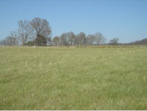 Lot 35 Stockton Road Chuckey, TN 37641 - Photo 5 of 7 Photo 5
