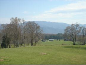 Lot 35 Stockton Road Chuckey, TN 37641 - Photo 7 of 7 Photo 7