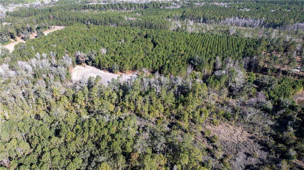30.46-acres Minton Road Townsend, GA 31331 - Photo 12 of 22