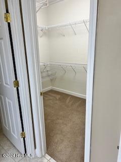 44 Fox Tail Lane Jackson Springs, NC 27281 - Photo 11 of 16 walkin