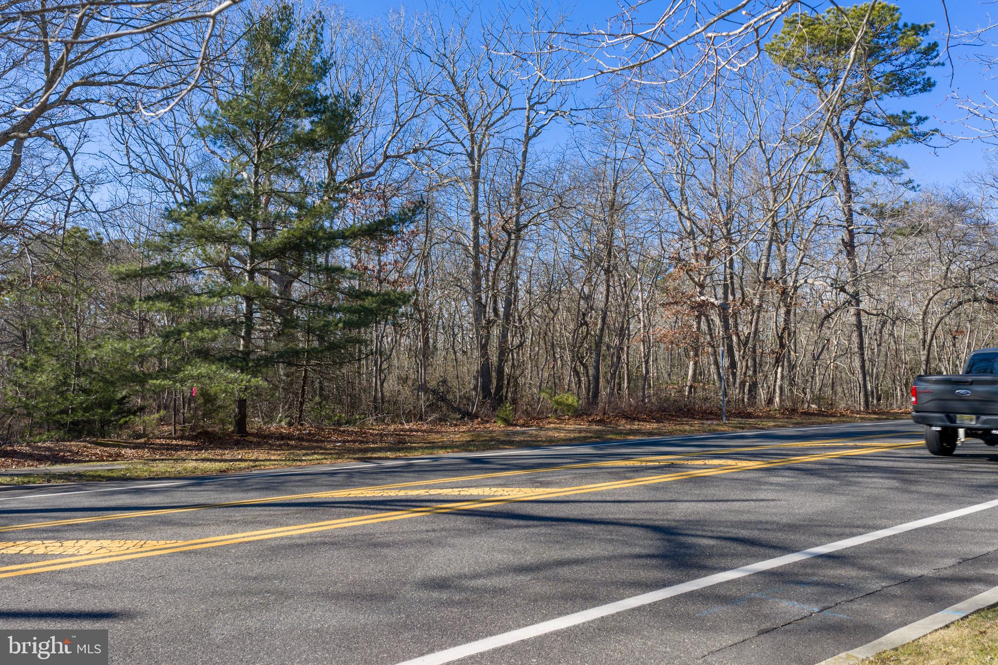 307 Mathistown Road Little Egg Harbor, NJ 08087 - Photo 21 of 25 a view of street with large trees