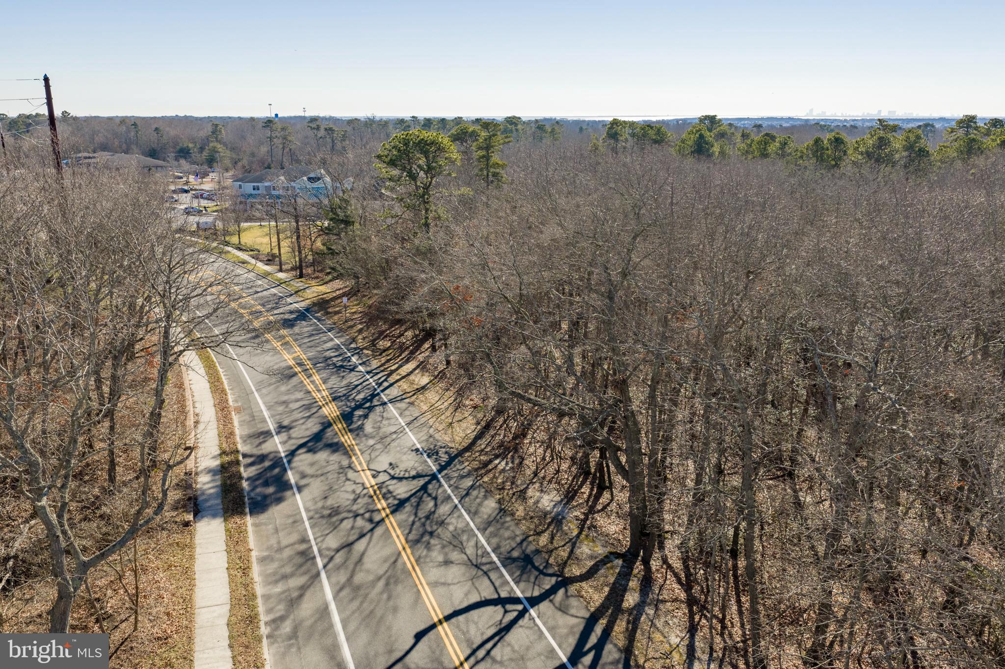 307 Mathistown Road Little Egg Harbor, NJ 08087 - Photo 23 of 25 a view of a dry yard