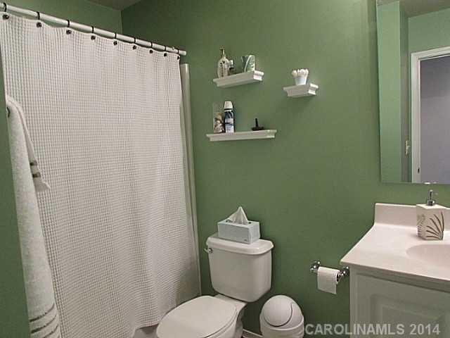 664 Potter Place Road, Unit 161 Fort Mill, SC 29708 - Photo 11 of 16