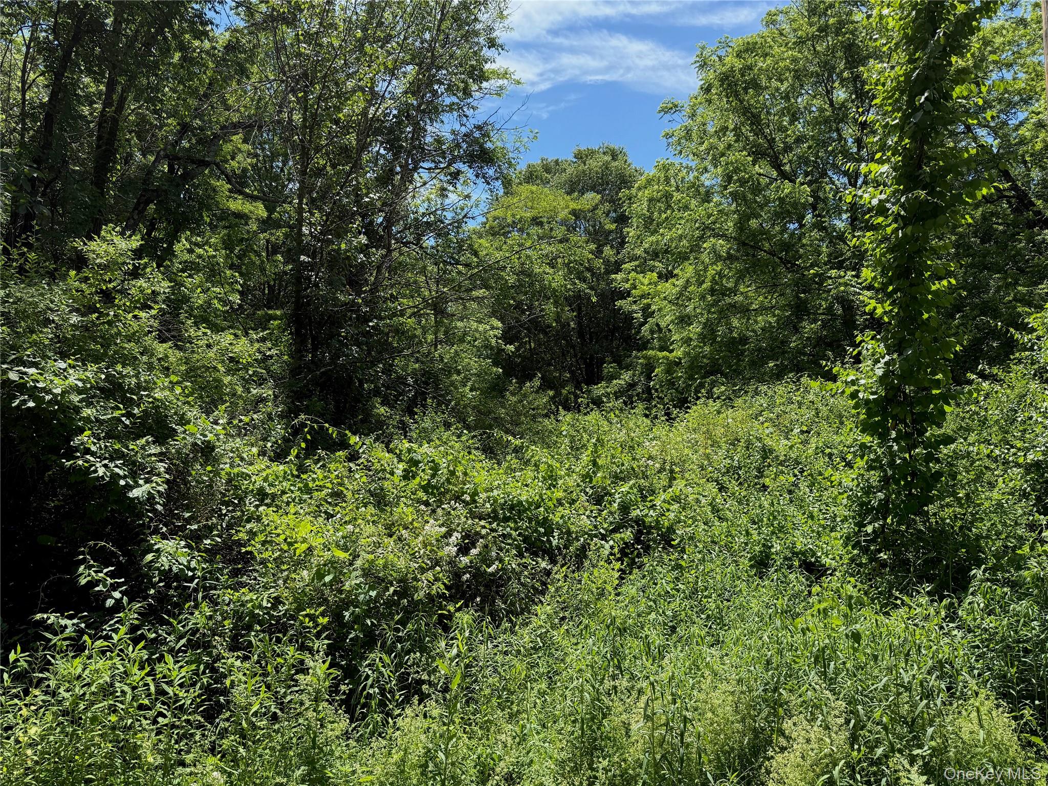 Schoolhouse Road Staatsburg, NY 12580 - Photo 2 of 5