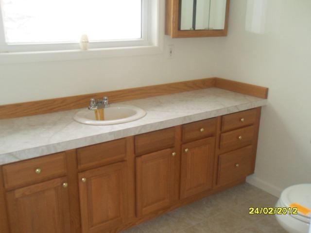 5502 West Baseline Road Weidman, MI 48893 - Photo 8 of 13 Additional Photo