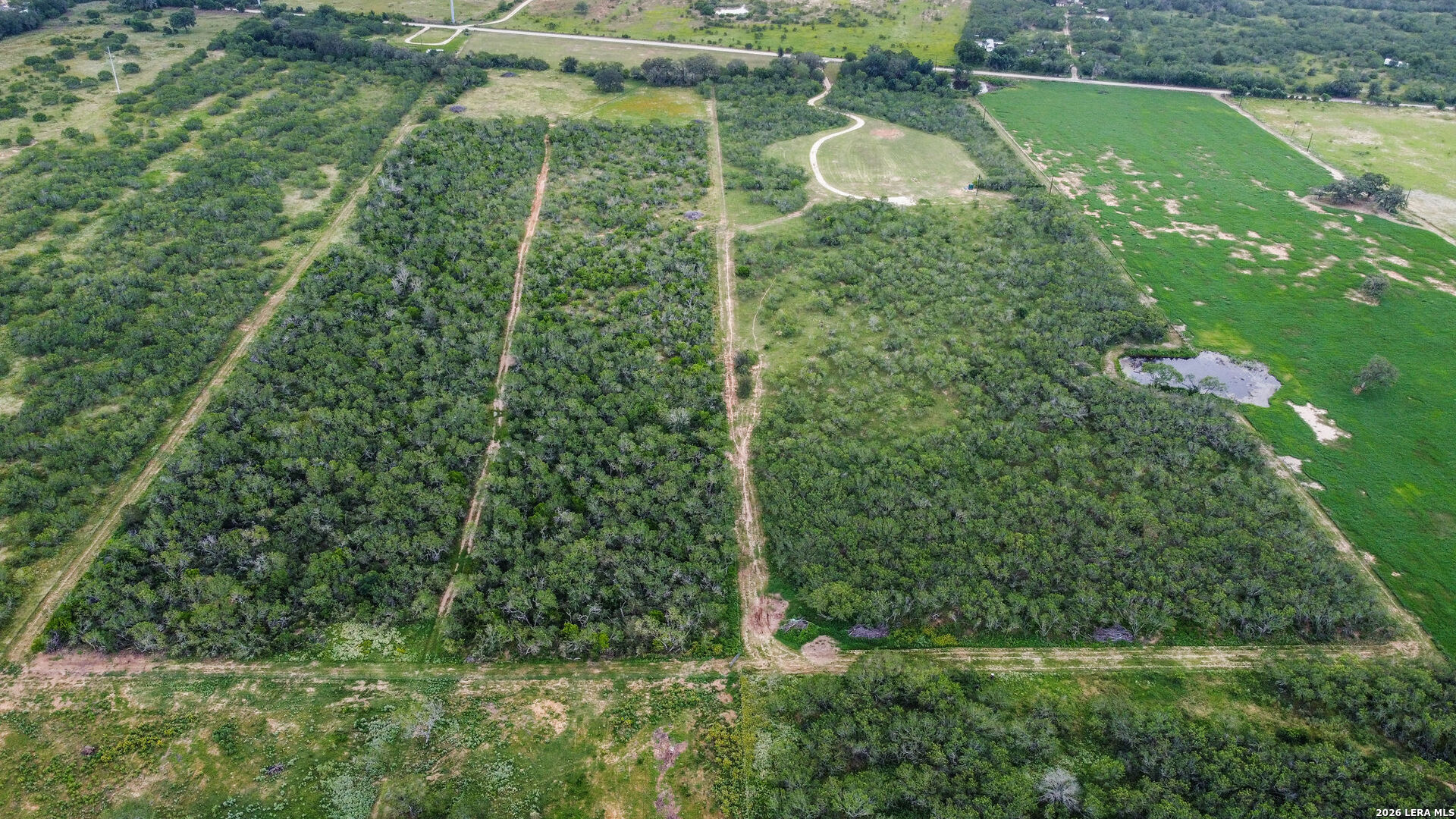 1393 Fox Trotter Road Seguin, TX 78155 - Photo 40 of 46