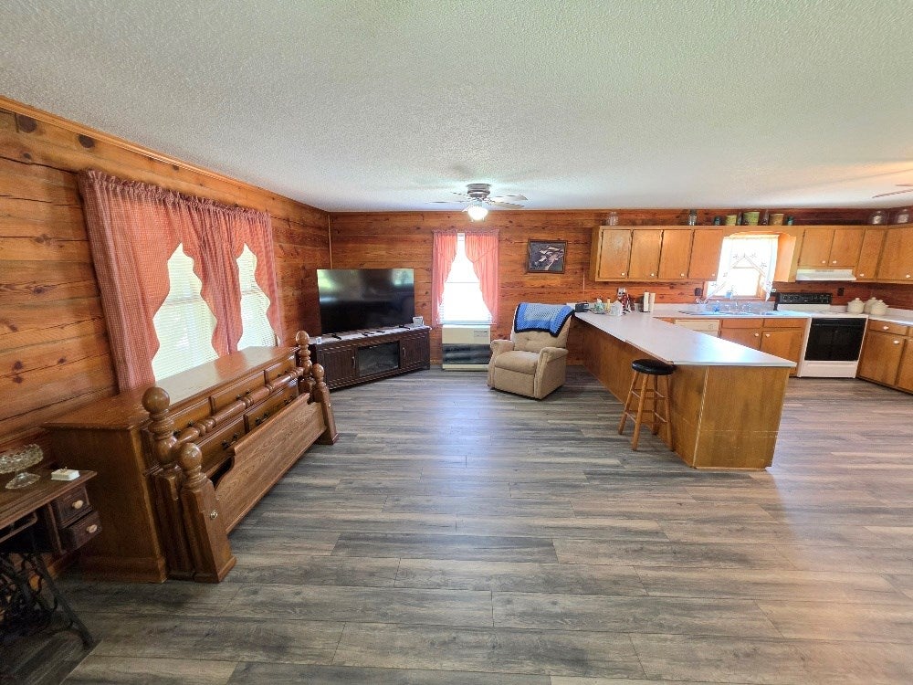 930 Fish Lake Road Cana, VA 24317 - Photo 10 of 29 Gallery Image 10