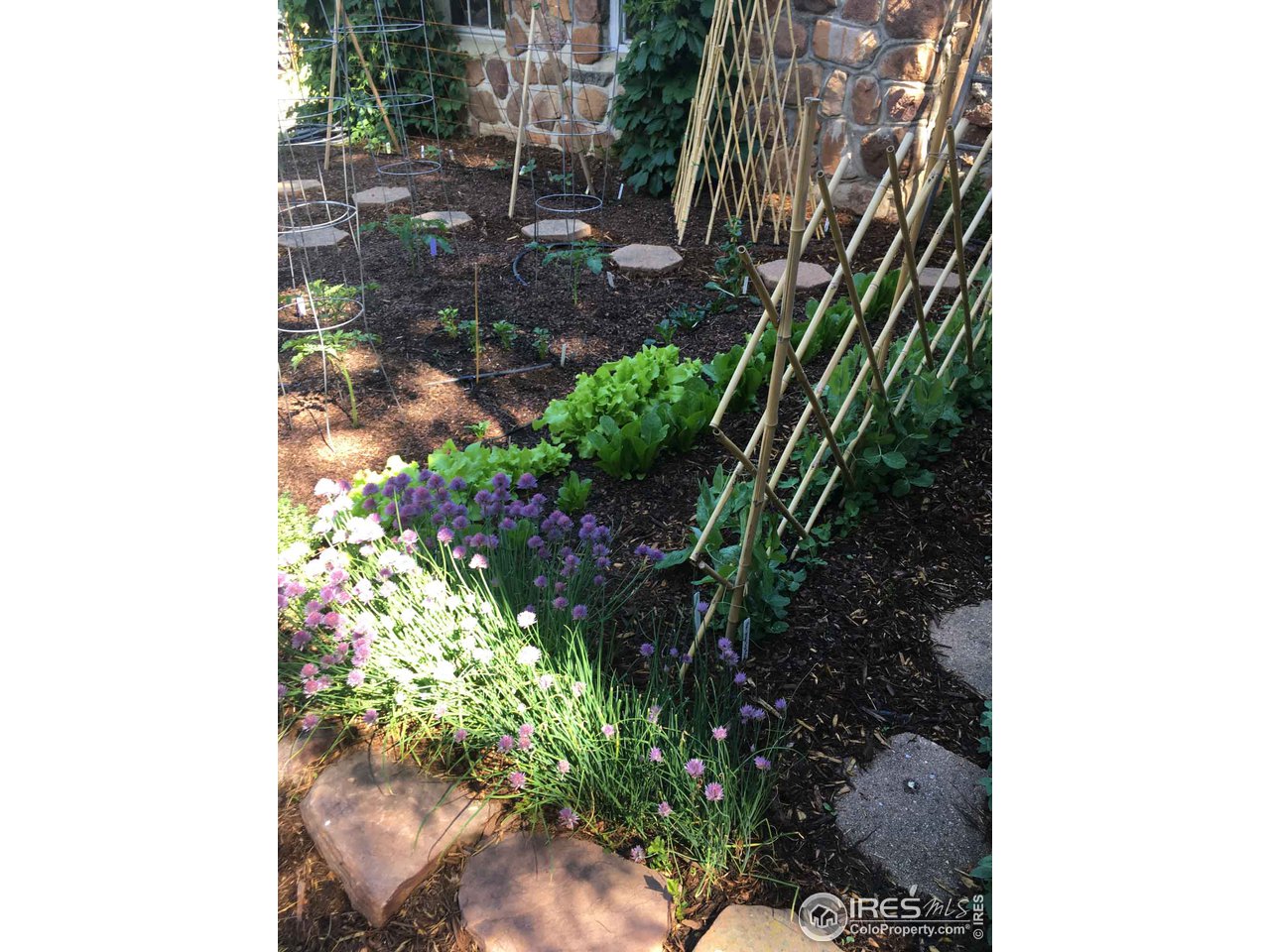 743 9th Street Boulder, CO 80302 - Photo 19 of 37