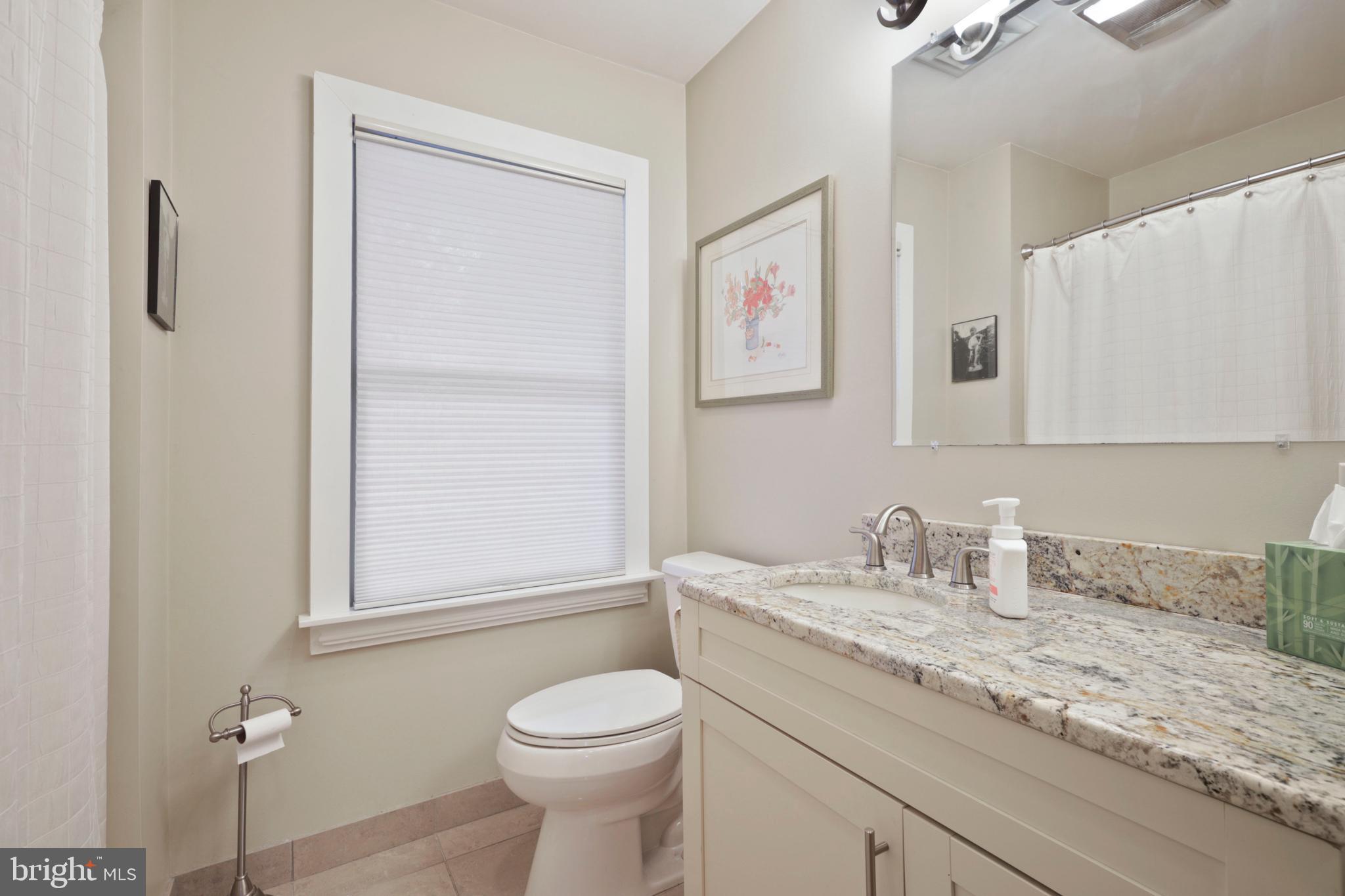 3820 Blenheim Road Phoenix, MD 21131 - Photo 31 of 125 In-law full bath