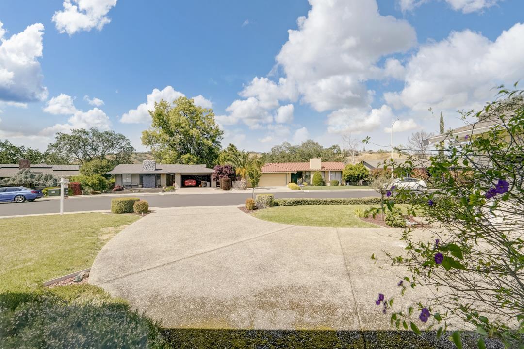 637 Laird Lane Lafayette, CA 94549 - Photo 4 of 44 a view of a swimming pool with an outdoor seating and a garden