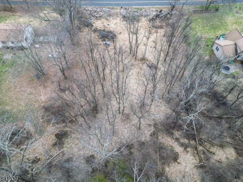 16 Cleveland Road Blairstown, NJ 07832 - Photo 1 of 6 a view of a yard with a tree