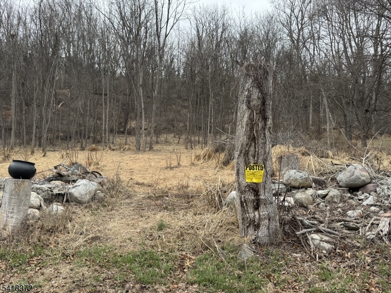 16 Cleveland Road Blairstown, NJ 07832 - Photo 2 of 6 a view of outdoor space with sitting area
