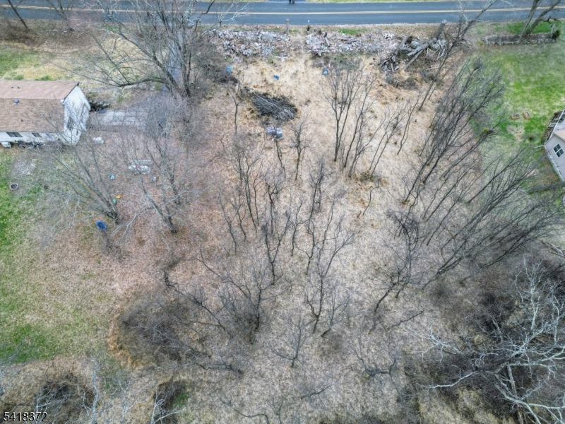 16 Cleveland Road Blairstown, NJ 07832 - Photo 4 of 6 a close up of a plant