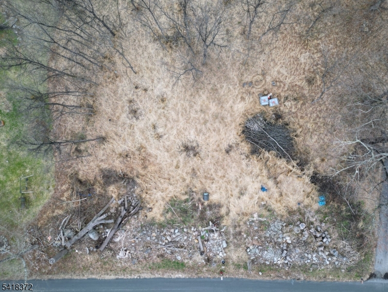 16 Cleveland Road Blairstown, NJ 07832 - Photo 5 of 6 a close up of a plant in a field