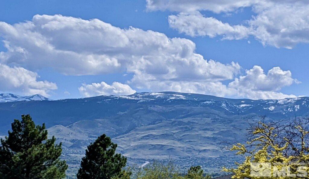 821 University Ridge Drive Reno, NV 89512 - Photo 5 of 28 a view of outside with green space