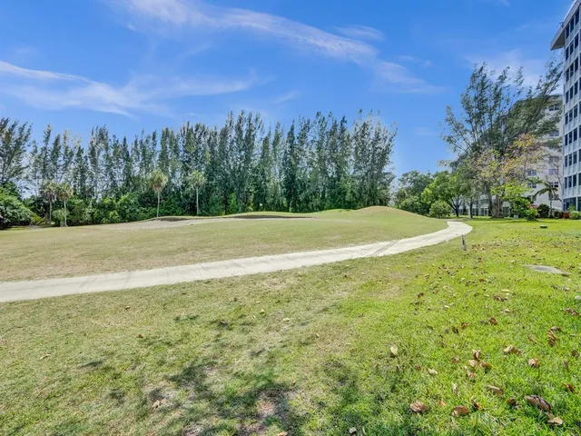 a view of a garden with a tree