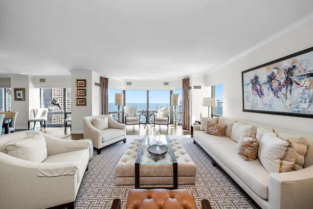 a living room with furniture potted plant and a rug