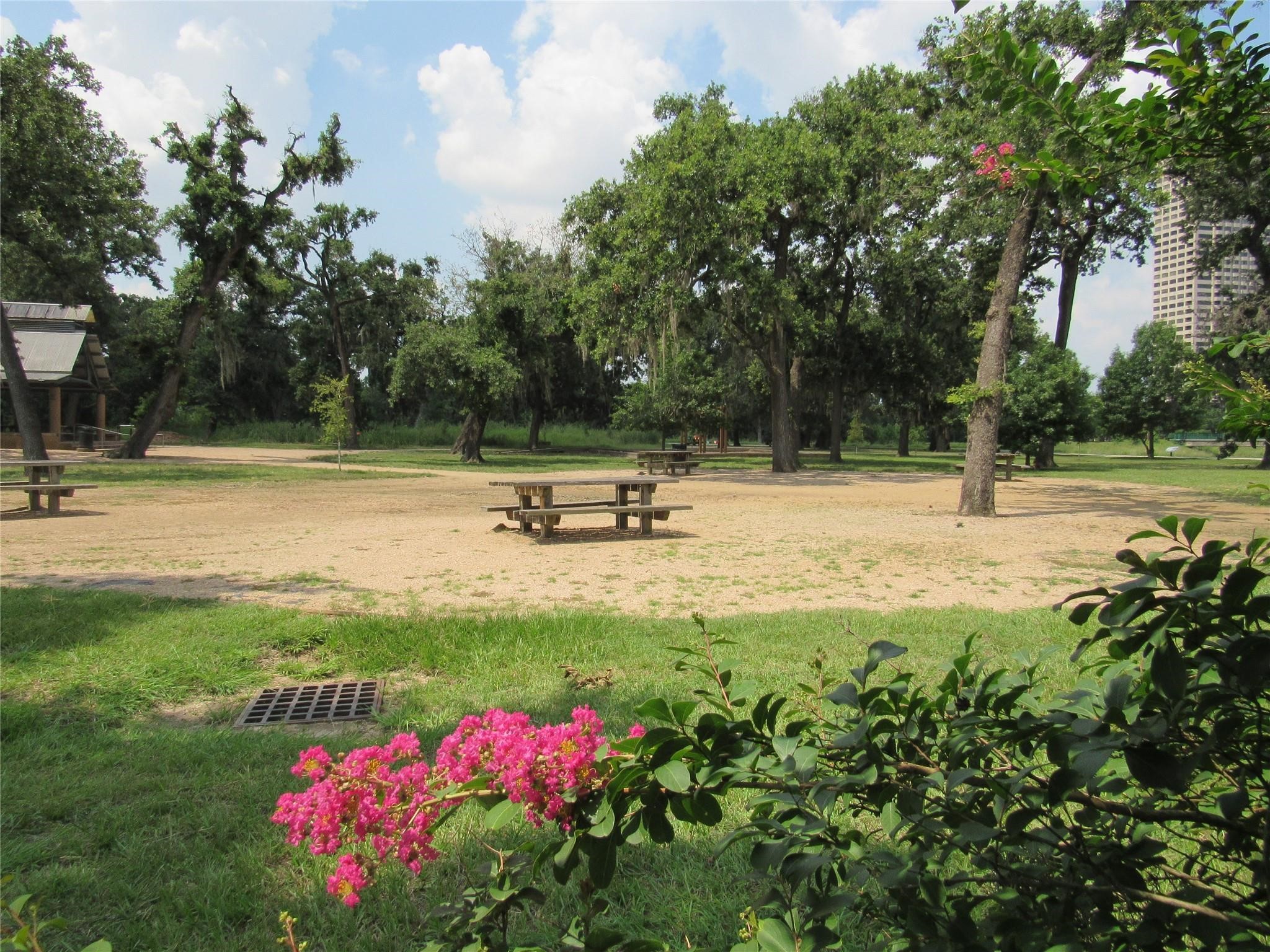 3249 Dixie Drive, Unit B Houston, TX 77021 - Photo 8 of 8 a view of a garden with an outdoor space