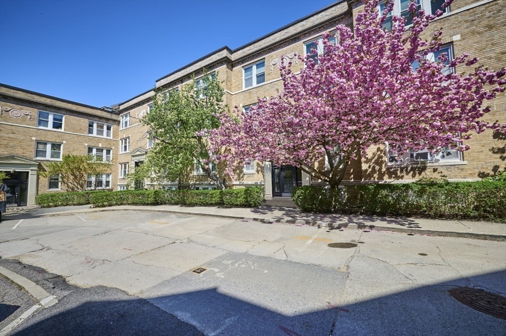 233 Freeman Street, Unit 4 Brookline, MA 02446 - Photo 19 of 19