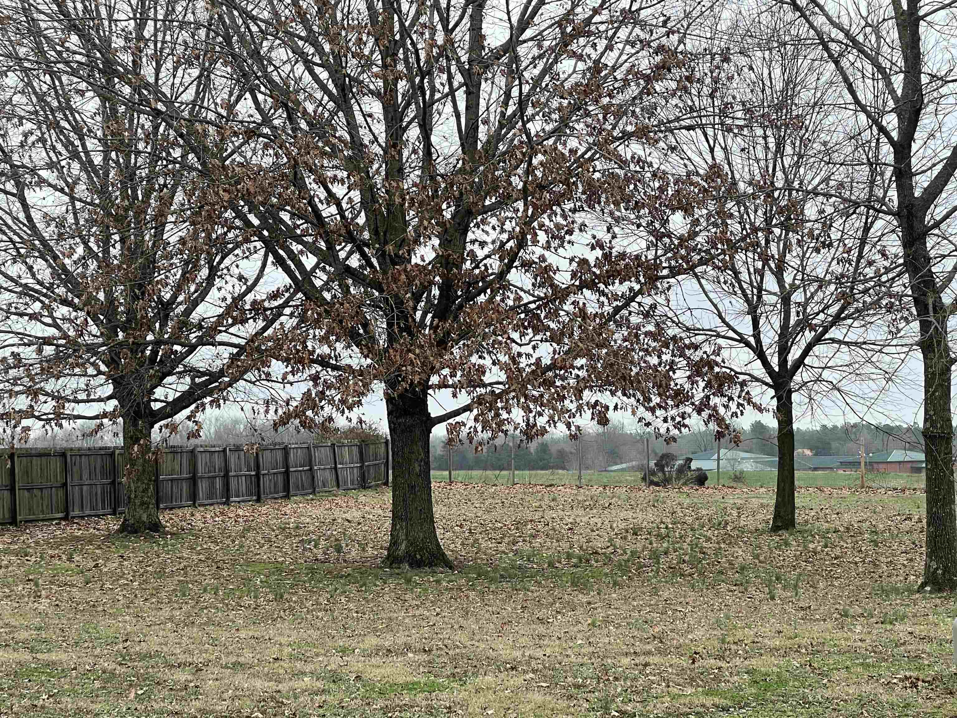 7438 Mt Carmel Road Covington, TN 38019 - Photo 18 of 19 Gallery Image 18