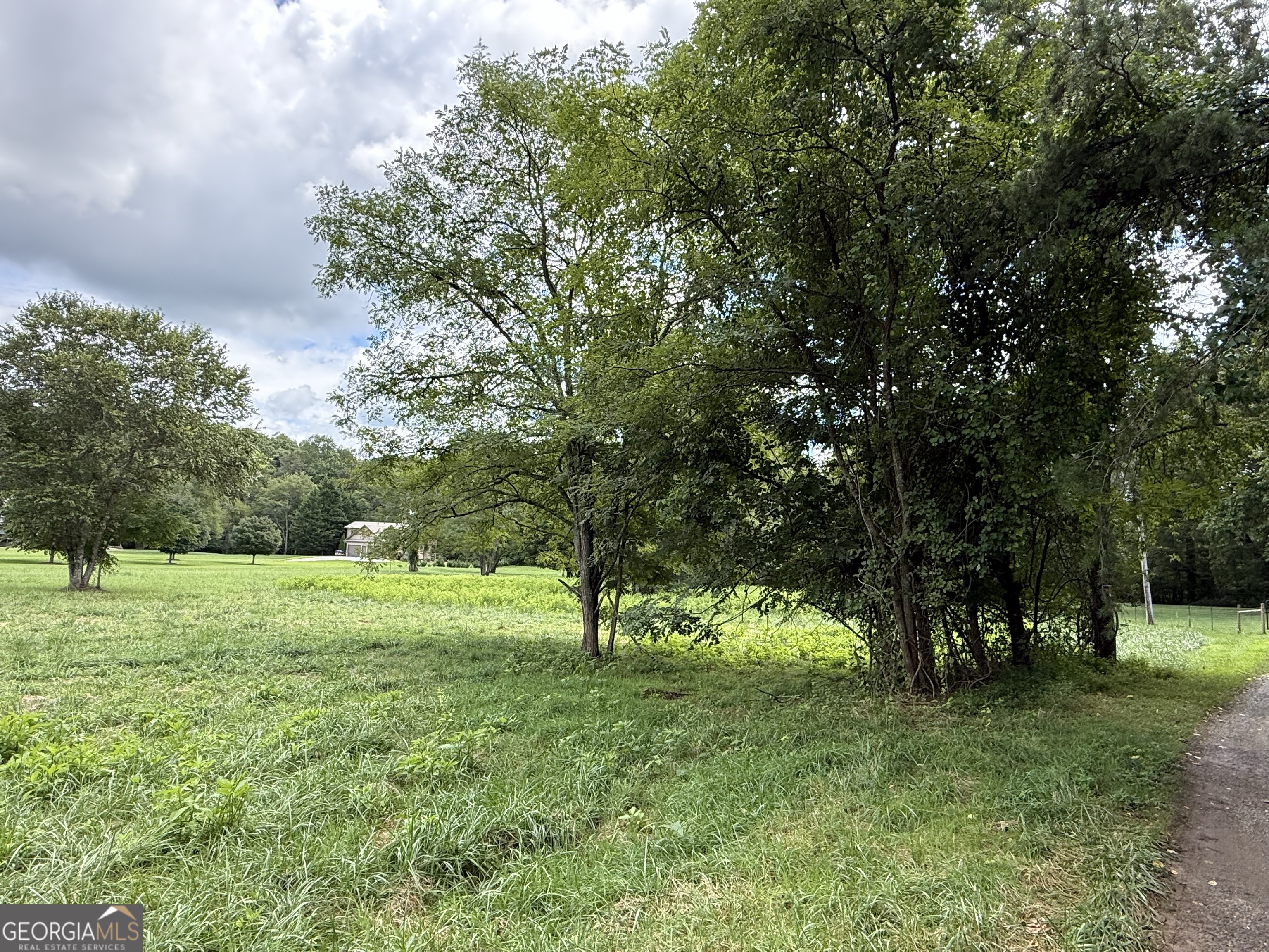 Lot 9 Riverside Blairsville, GA 30512 - Photo 12 of 35 a big yard with lots of green space and trees