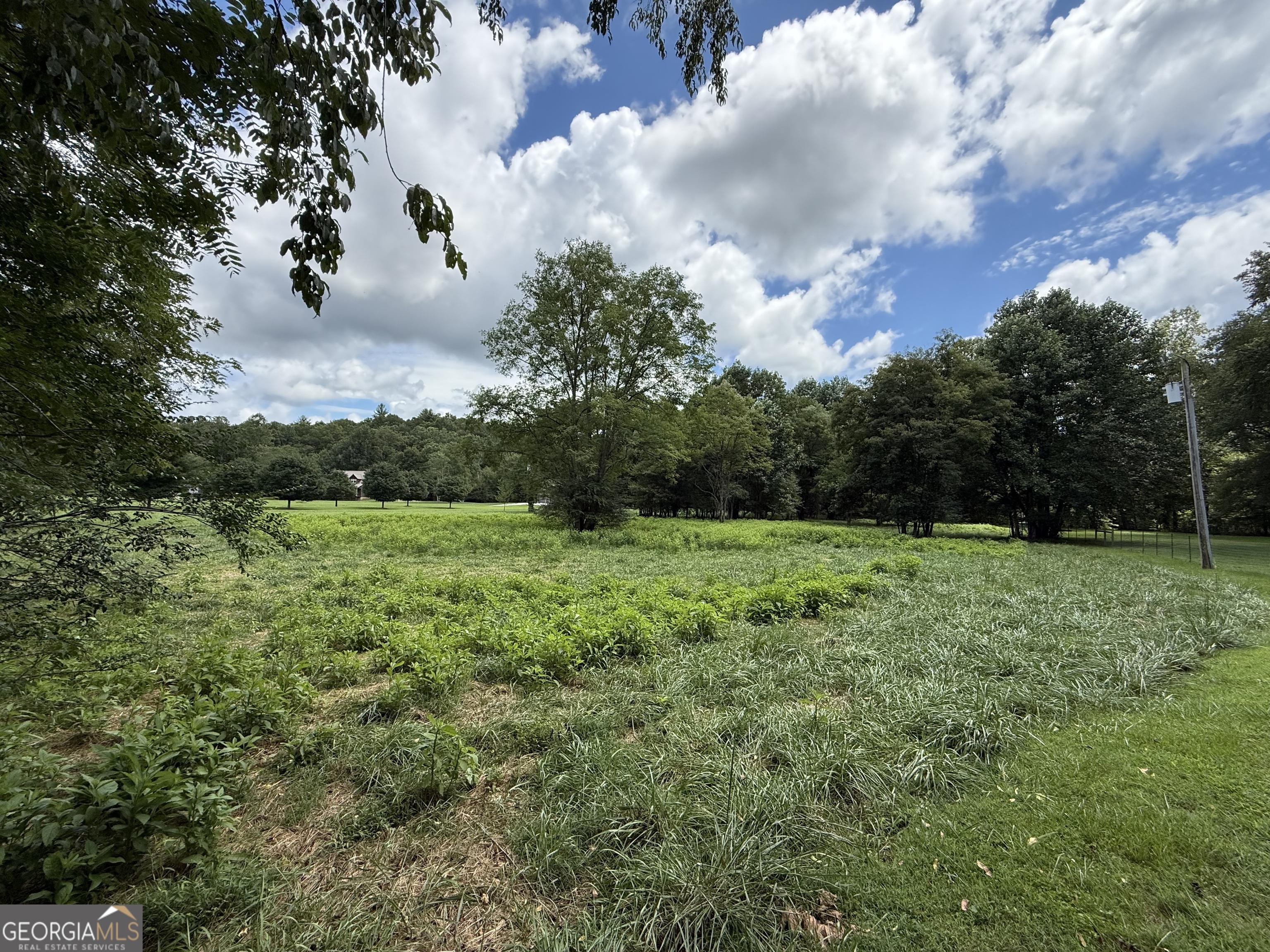 Lot 9 Riverside Blairsville, GA 30512 - Photo 13 of 35 a view of a garden