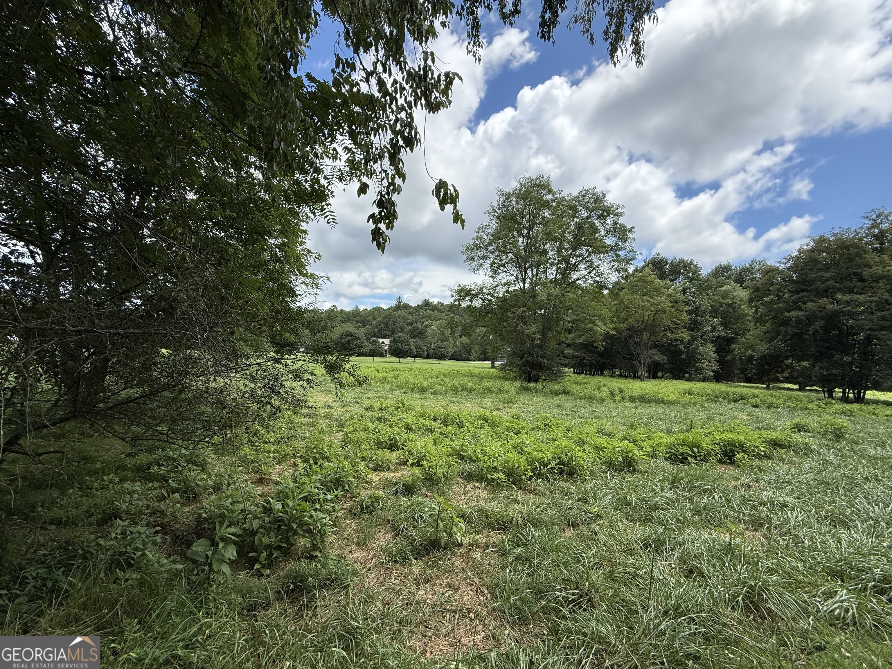 Lot 9 Riverside Blairsville, GA 30512 - Photo 14 of 35 a view of a lush green space