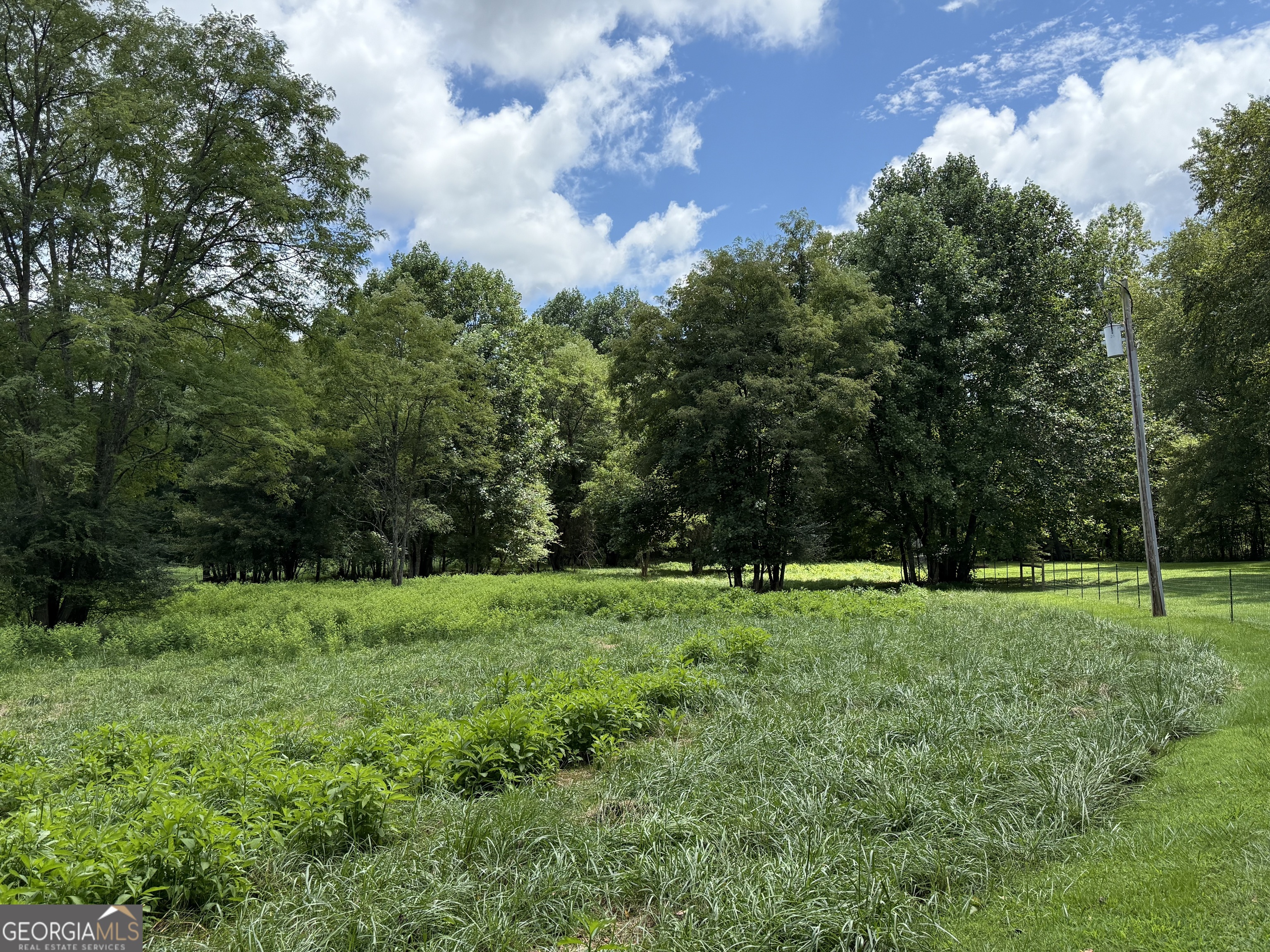 Lot 9 Riverside Blairsville, GA 30512 - Photo 15 of 35 a view of field with trees in the background