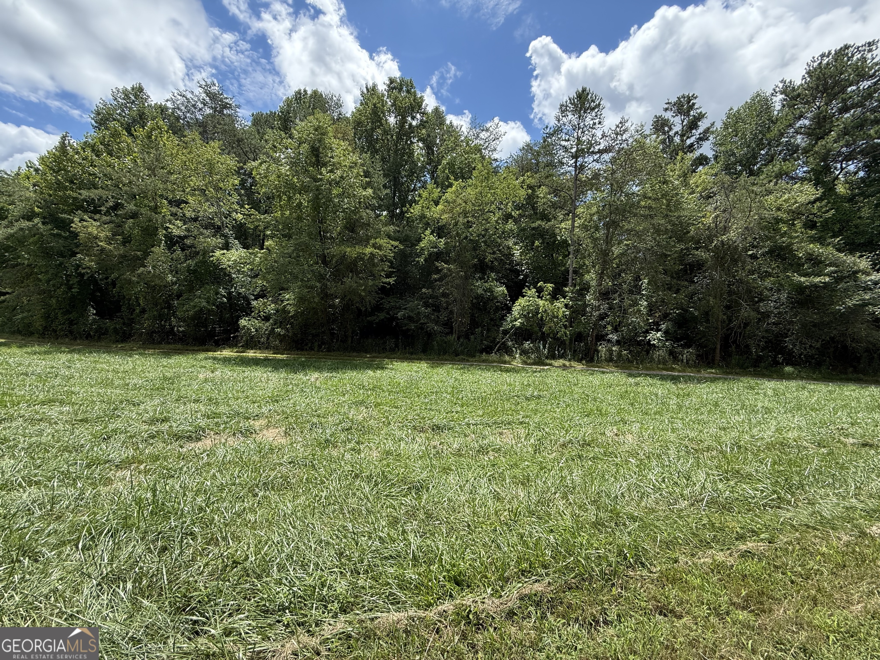 Lot 9 Riverside Blairsville, GA 30512 - Photo 16 of 35 a view of a garden