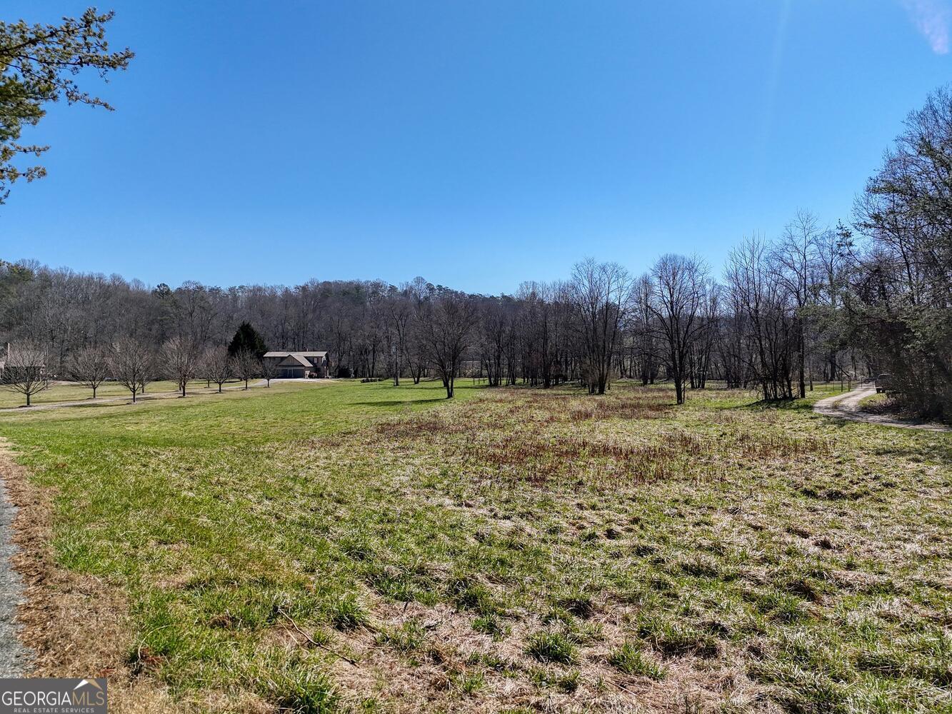 Lot 9 Riverside Blairsville, GA 30512 - Photo 18 of 35 a view of garden with trees