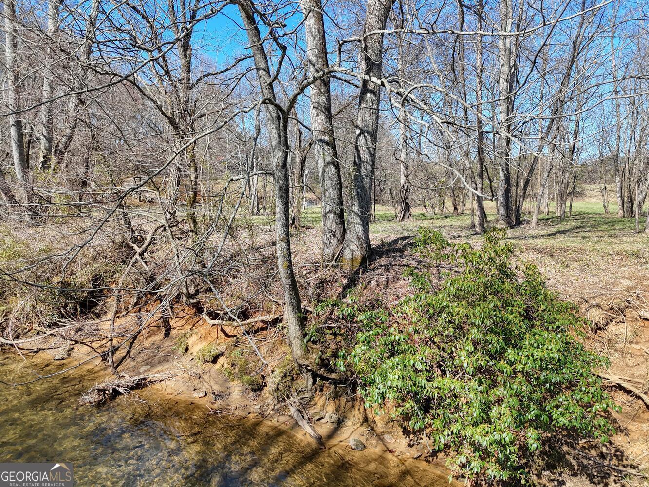 Lot 9 Riverside Blairsville, GA 30512 - Photo 19 of 35 a backyard of a house with large trees