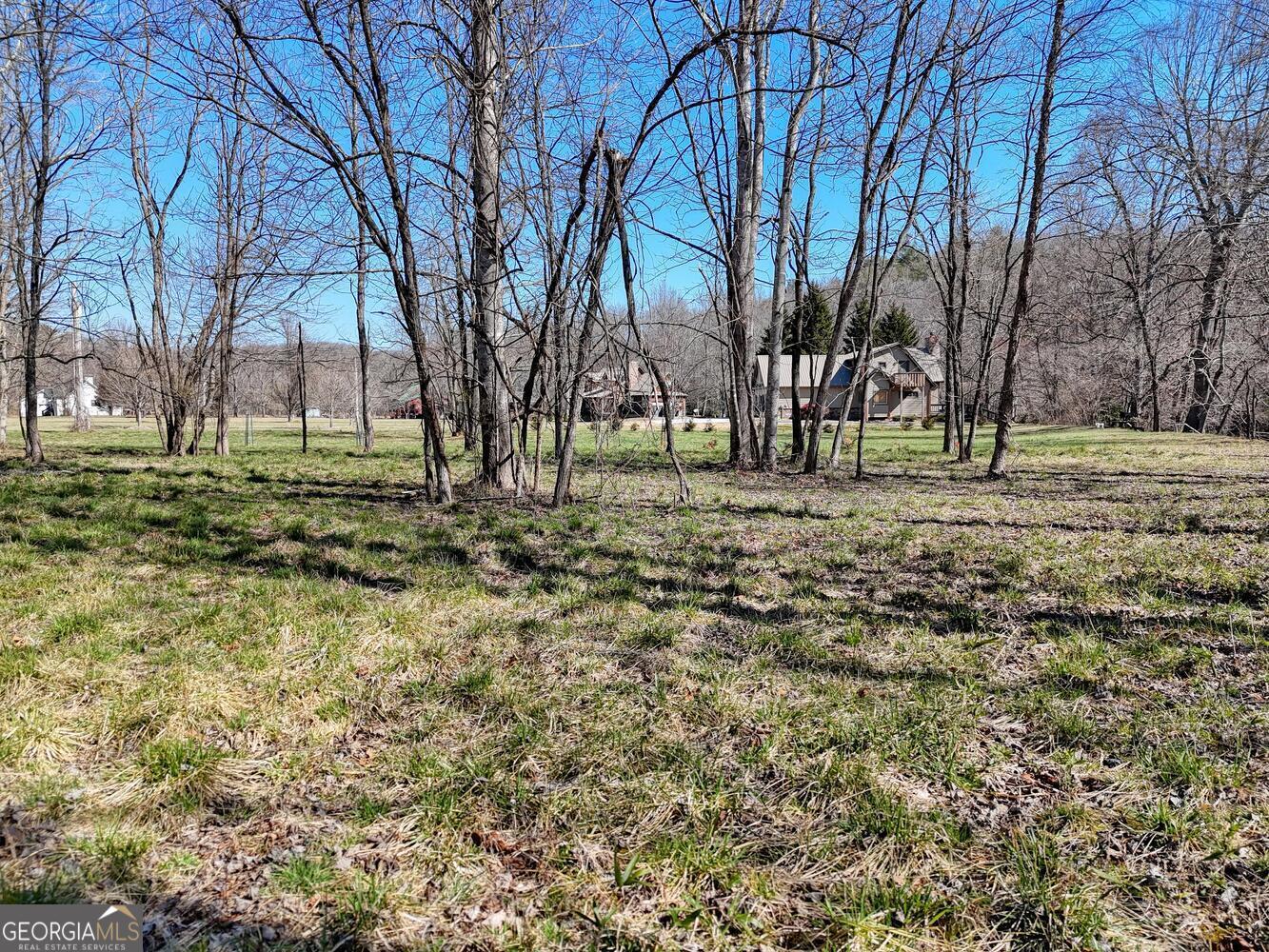 Lot 9 Riverside Blairsville, GA 30512 - Photo 21 of 35 a big yard with trees