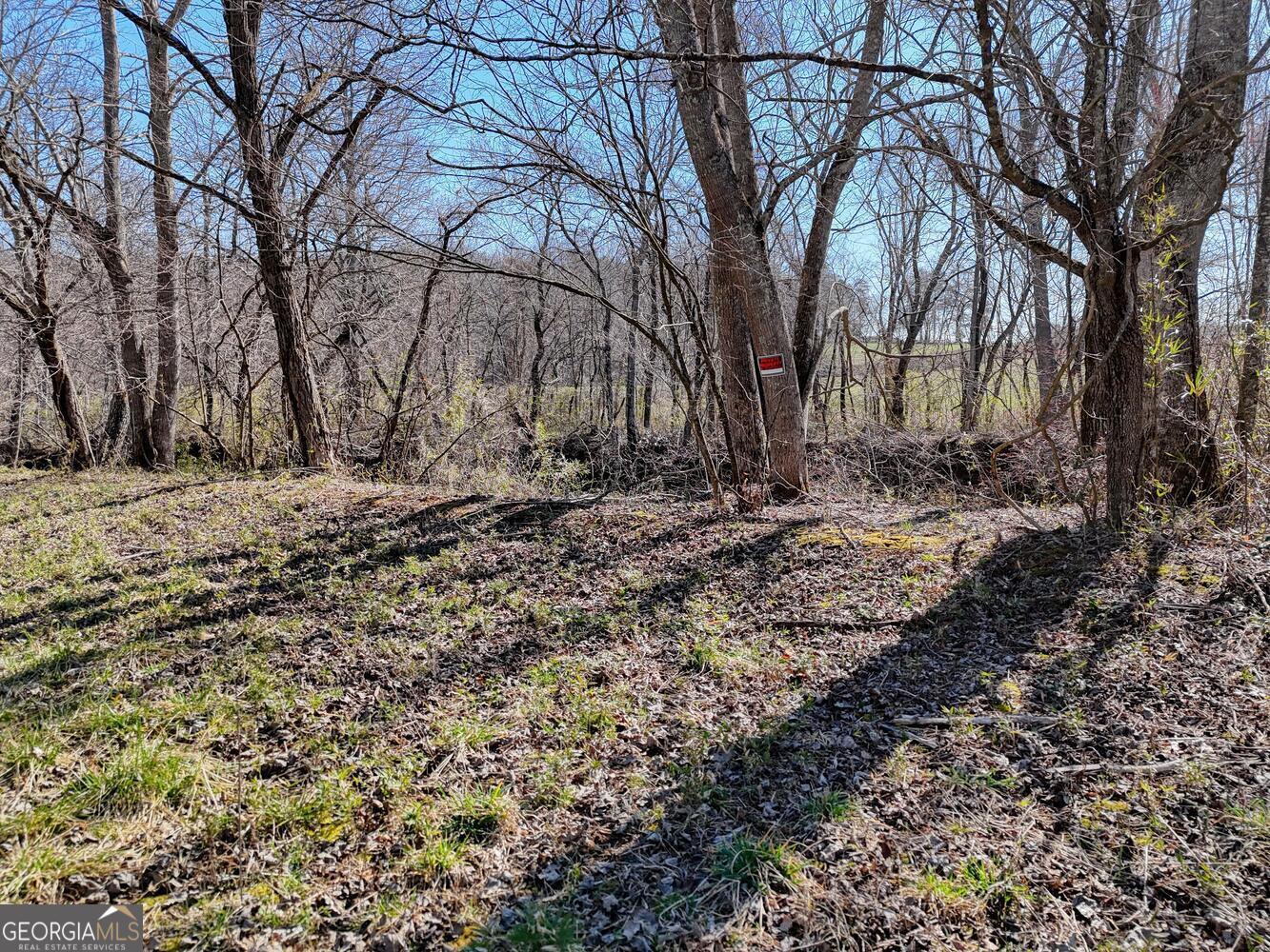 Lot 9 Riverside Blairsville, GA 30512 - Photo 22 of 35