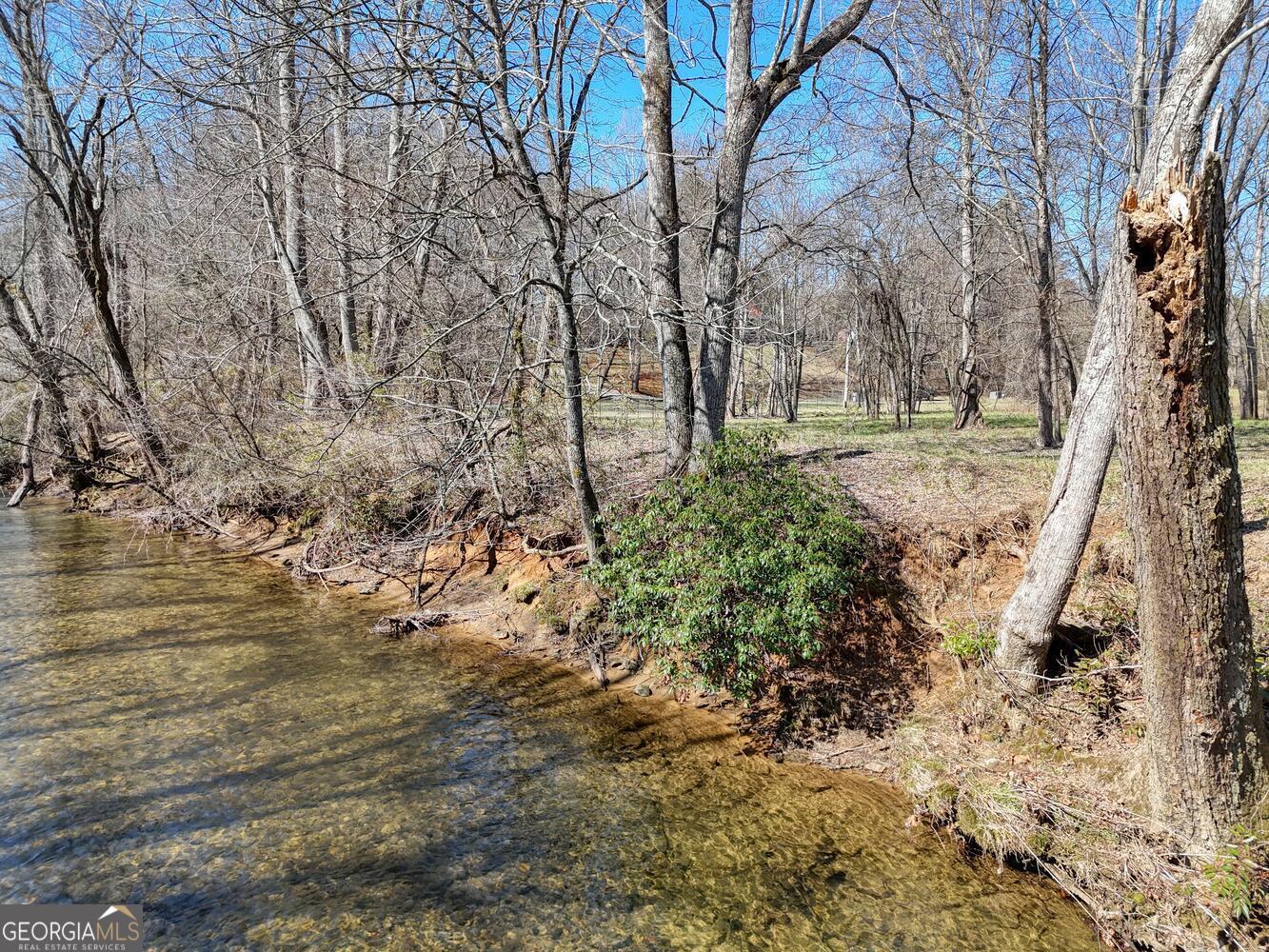 Lot 9 Riverside Blairsville, GA 30512 - Photo 28 of 35 a view of a yard with trees