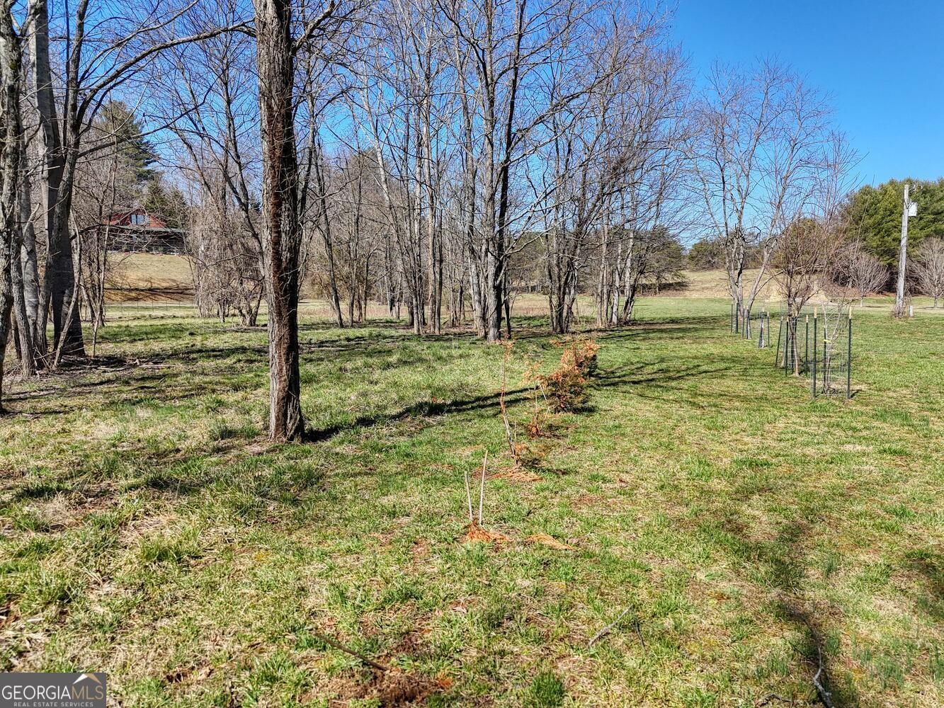 Lot 9 Riverside Blairsville, GA 30512 - Photo 29 of 35 a view of backyard with tree