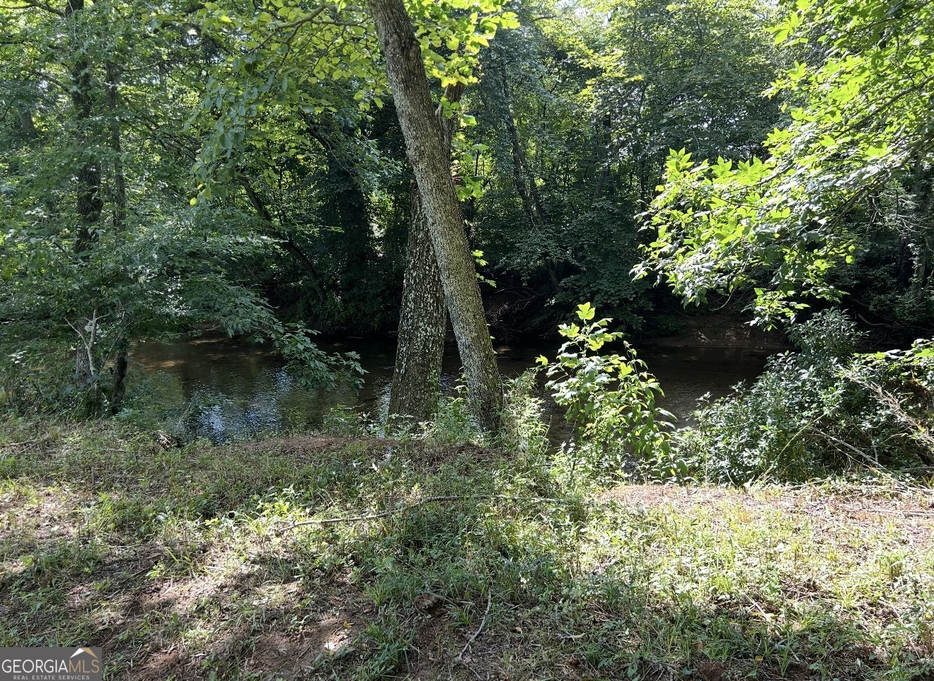 Lot 9 Riverside Blairsville, GA 30512 - Photo 30 of 35 a backyard of a house with lots of green space