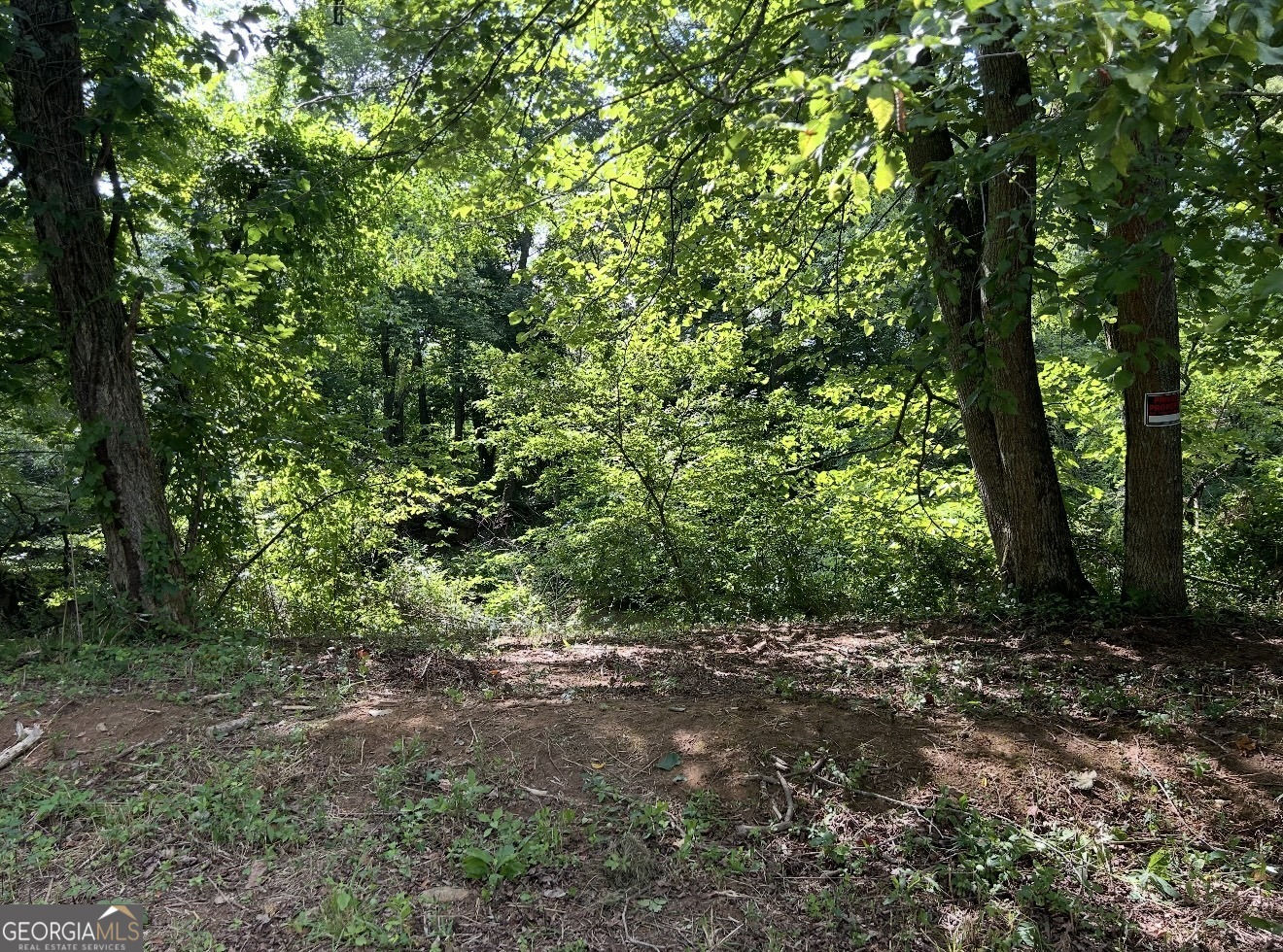 Lot 9 Riverside Blairsville, GA 30512 - Photo 31 of 35 a view of a forest with trees in the background