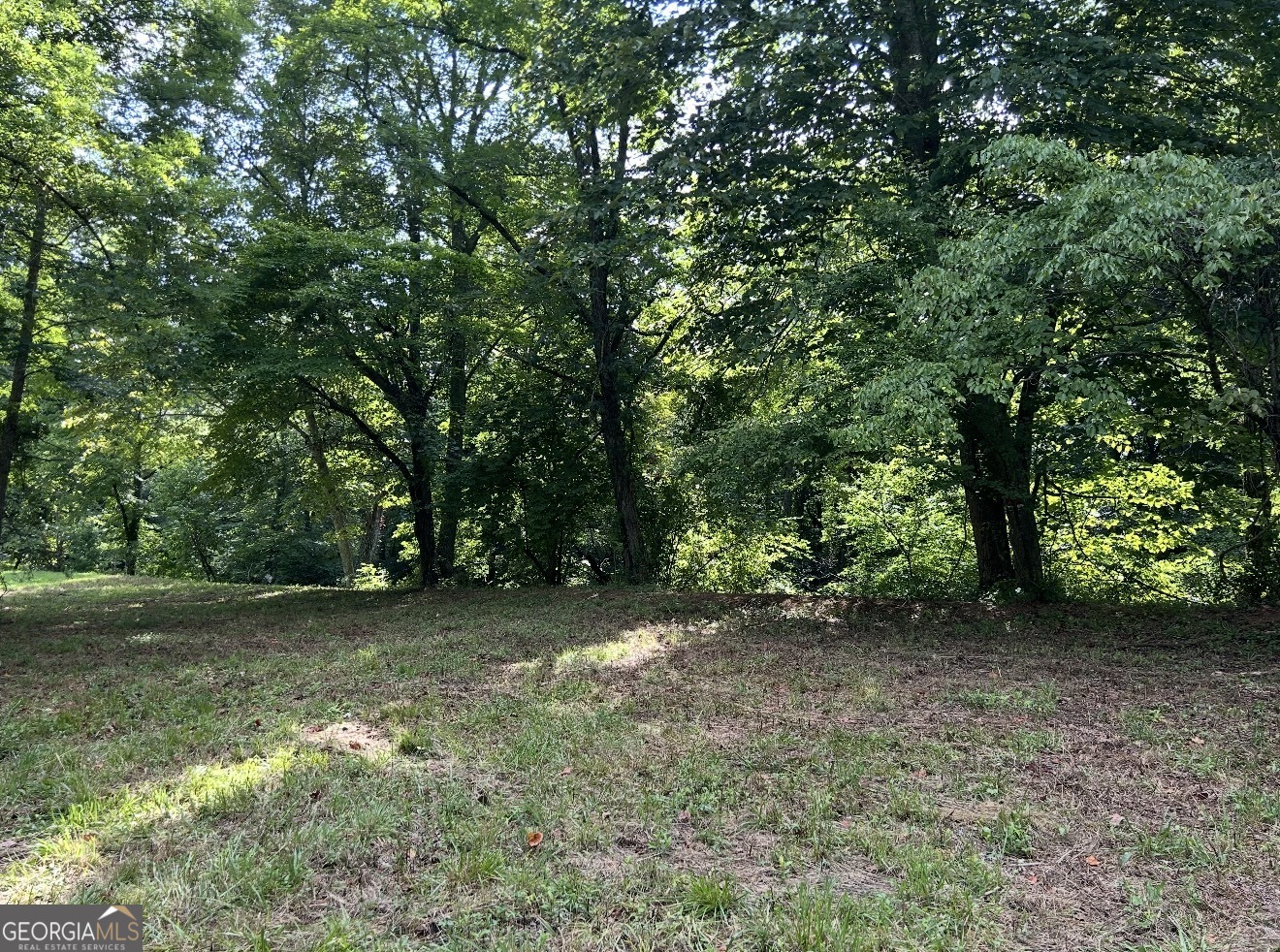 Lot 9 Riverside Blairsville, GA 30512 - Photo 32 of 35 a view of a forest with trees in the background